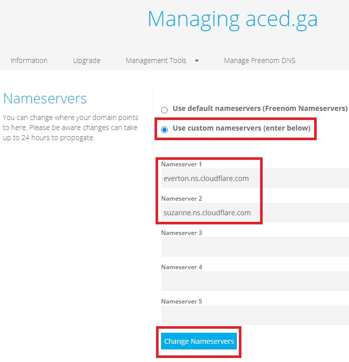 10 custom nameservers o